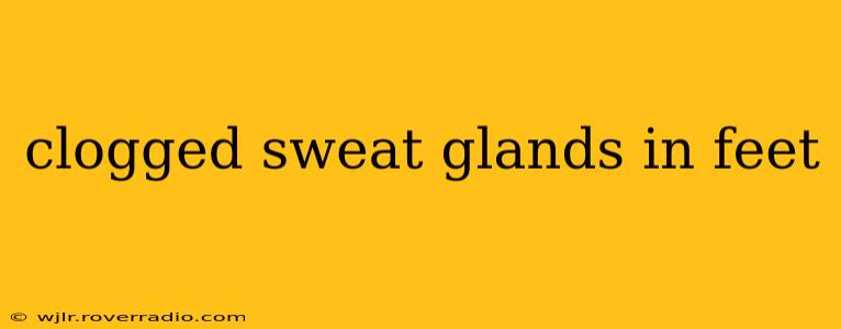 clogged sweat glands in feet