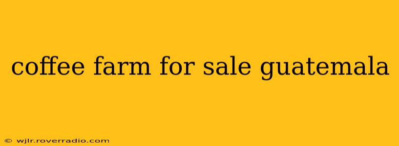 coffee farm for sale guatemala