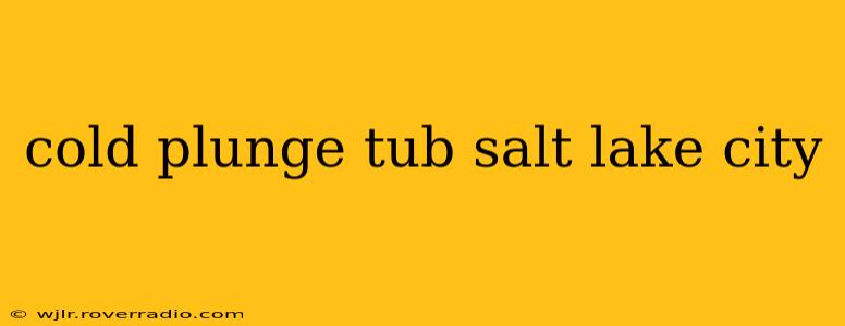 cold plunge tub salt lake city
