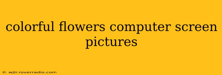 colorful flowers computer screen pictures