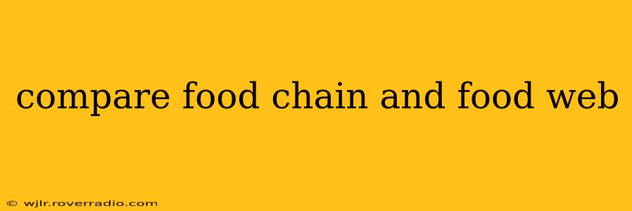 compare food chain and food web