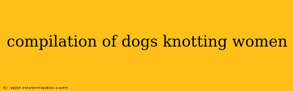 compilation of dogs knotting women