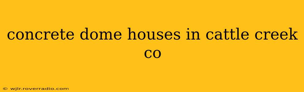 concrete dome houses in cattle creek co