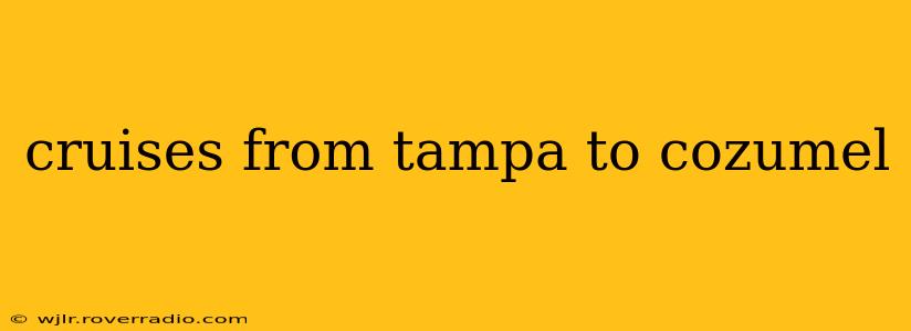 cruises from tampa to cozumel