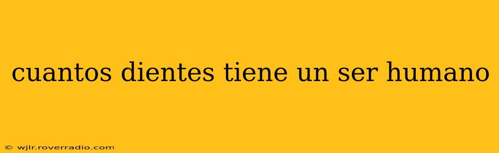 cuantos dientes tiene un ser humano