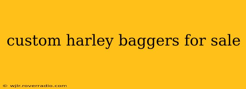custom harley baggers for sale