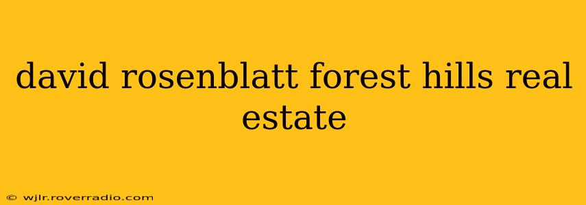 david rosenblatt forest hills real estate