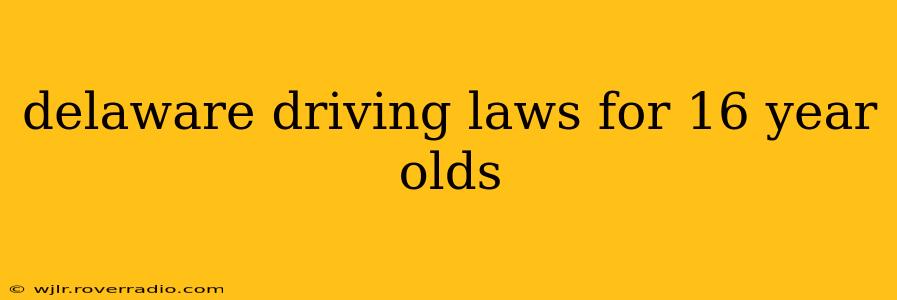 delaware driving laws for 16 year olds