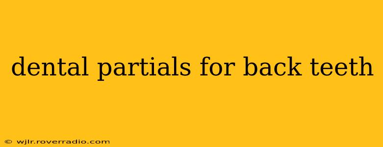 dental partials for back teeth