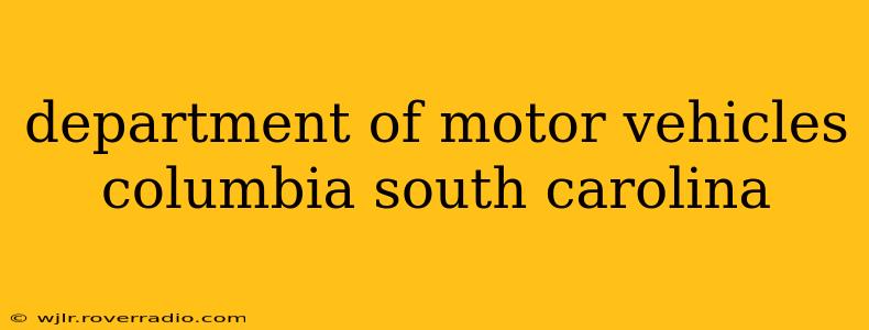 department of motor vehicles columbia south carolina