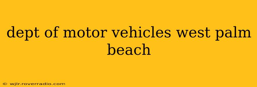 dept of motor vehicles west palm beach
