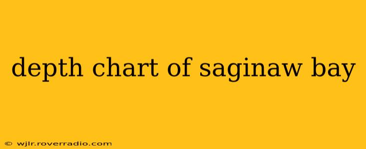 depth chart of saginaw bay