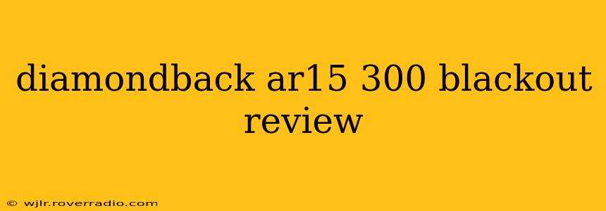diamondback ar15 300 blackout review