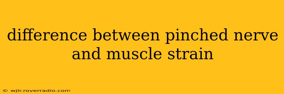 difference between pinched nerve and muscle strain