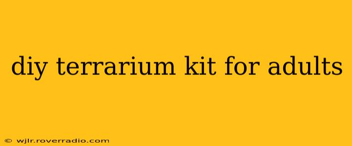 diy terrarium kit for adults