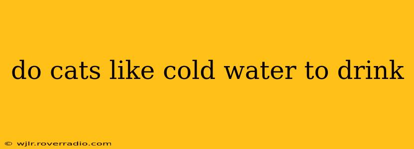 do cats like cold water to drink