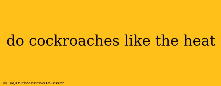 do cockroaches like the heat