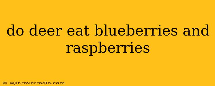 do deer eat blueberries and raspberries