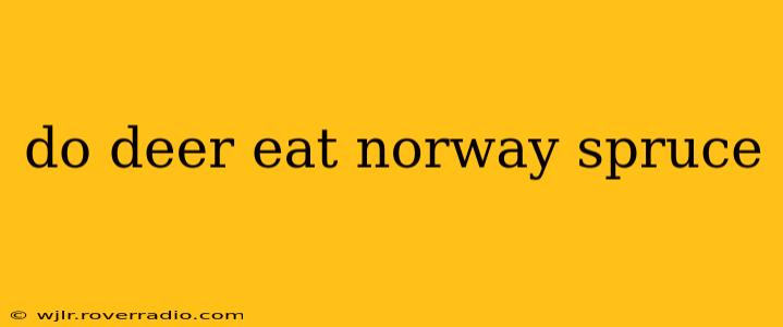 do deer eat norway spruce