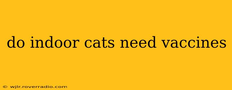do indoor cats need vaccines