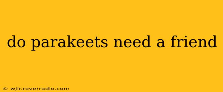 do parakeets need a friend