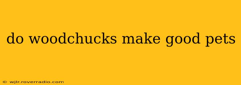 do woodchucks make good pets