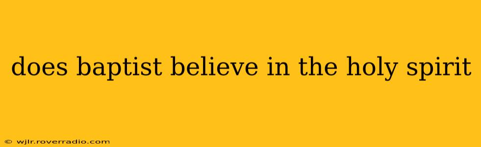 does baptist believe in the holy spirit