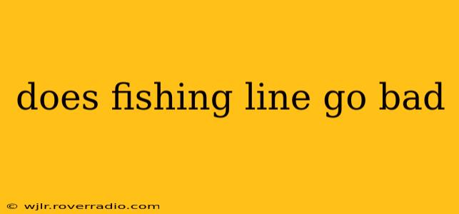 does fishing line go bad