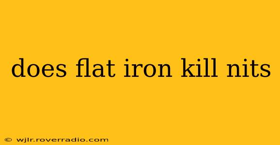 does flat iron kill nits