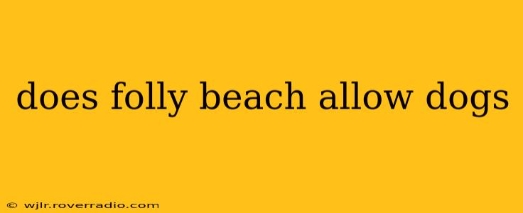 does folly beach allow dogs