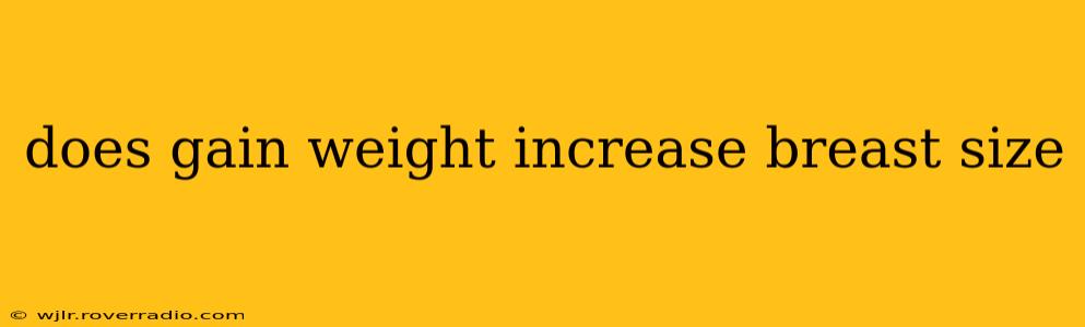 does gain weight increase breast size
