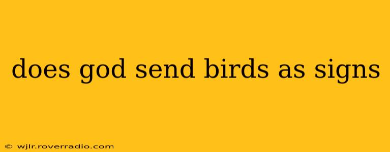 does god send birds as signs