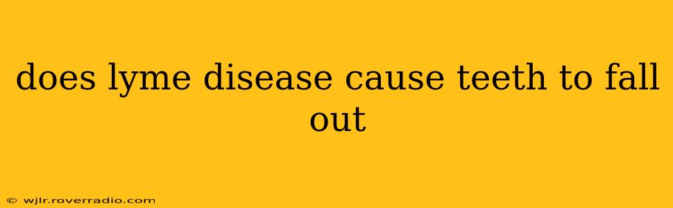 does lyme disease cause teeth to fall out