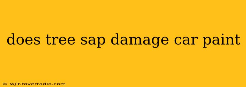 does tree sap damage car paint