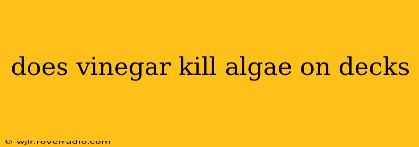 does vinegar kill algae on decks