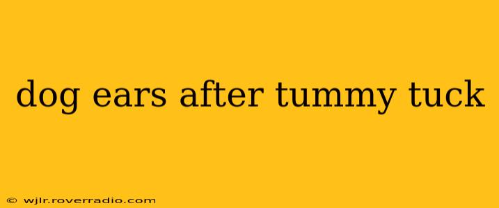 dog ears after tummy tuck
