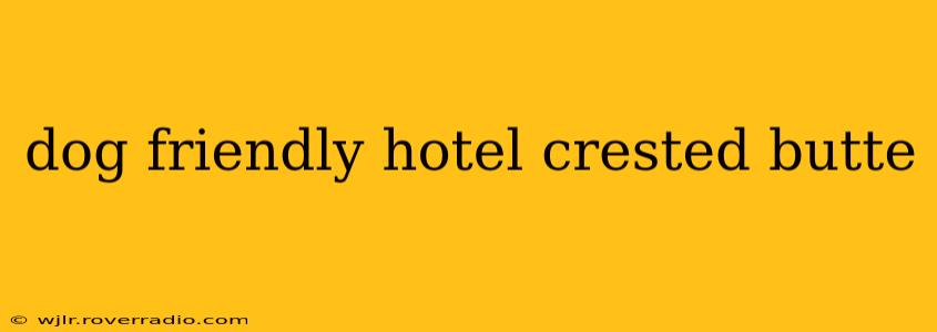 dog friendly hotel crested butte