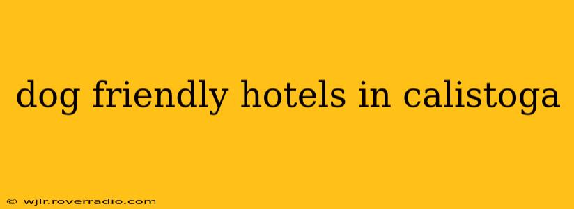 dog friendly hotels in calistoga