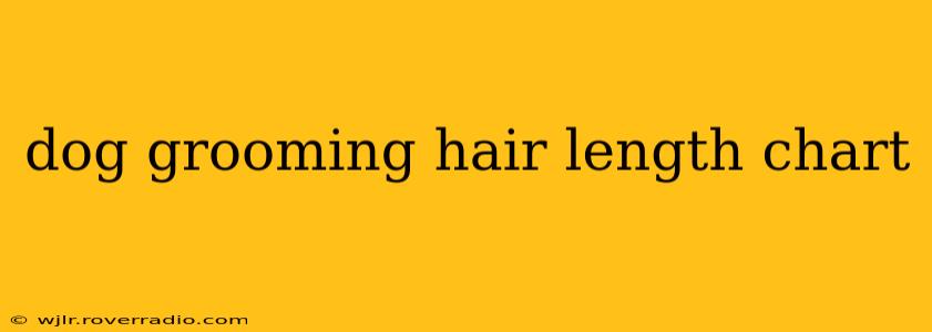dog grooming hair length chart