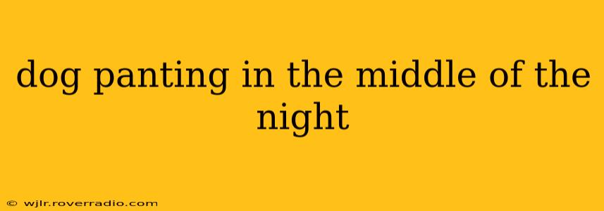 dog panting in the middle of the night