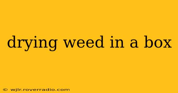drying weed in a box