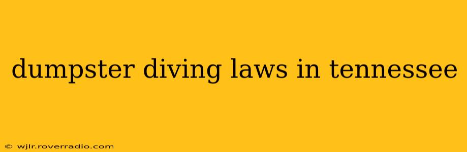 dumpster diving laws in tennessee