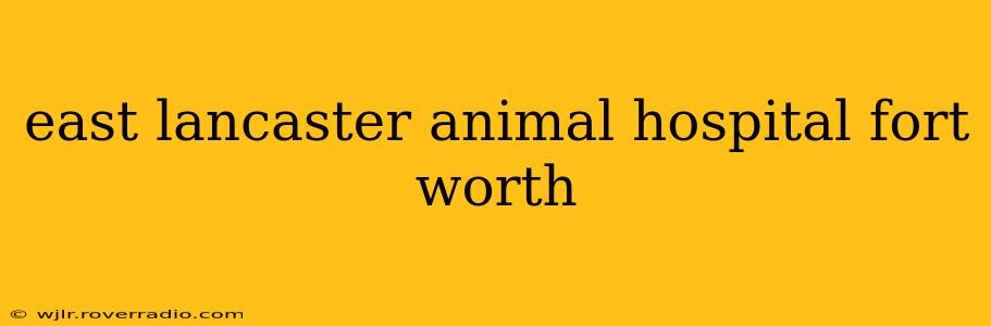east lancaster animal hospital fort worth