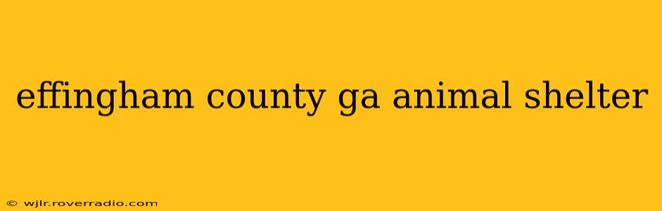 effingham county ga animal shelter
