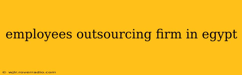 employees outsourcing firm in egypt