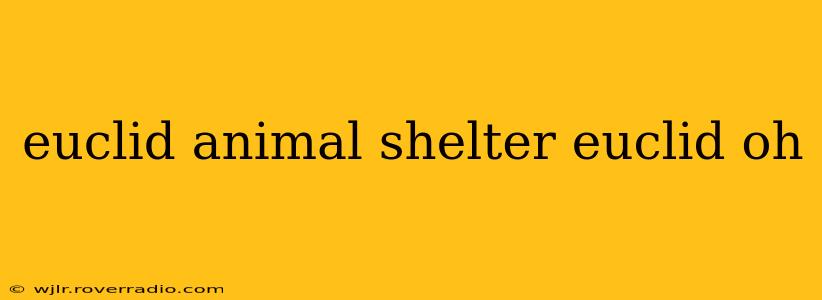 euclid animal shelter euclid oh