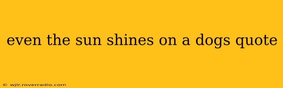 even the sun shines on a dogs quote