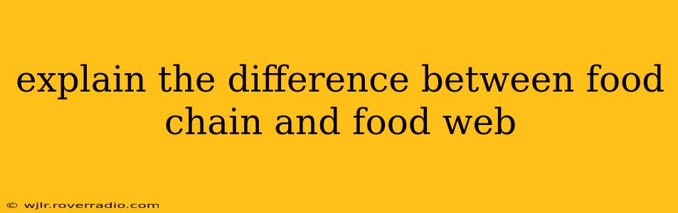 explain the difference between food chain and food web