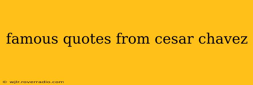 famous quotes from cesar chavez