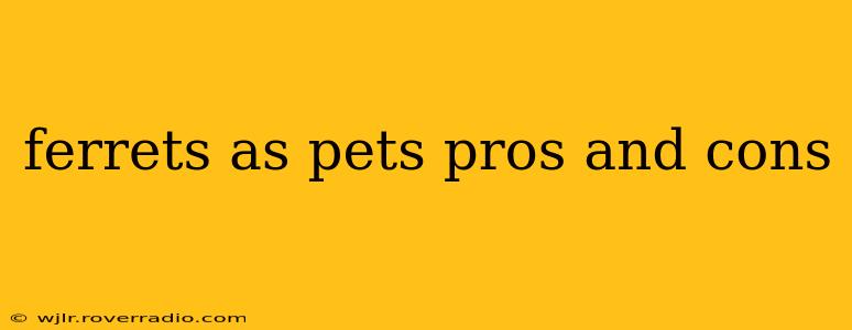 ferrets as pets pros and cons